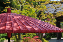 鎌倉　海蔵寺の野天傘
