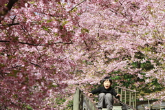 桜の中で風になる