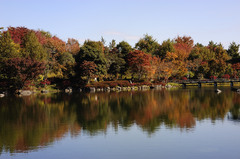 晩秋の庭園