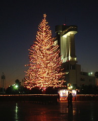 名古屋港クリスマスツリー