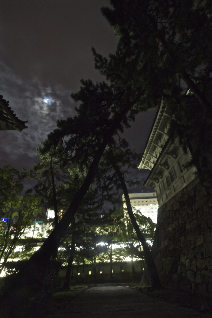 夜空に向かって
