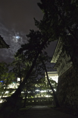 夜空に向かって