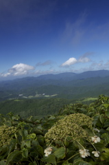 爽快に伸びる山々