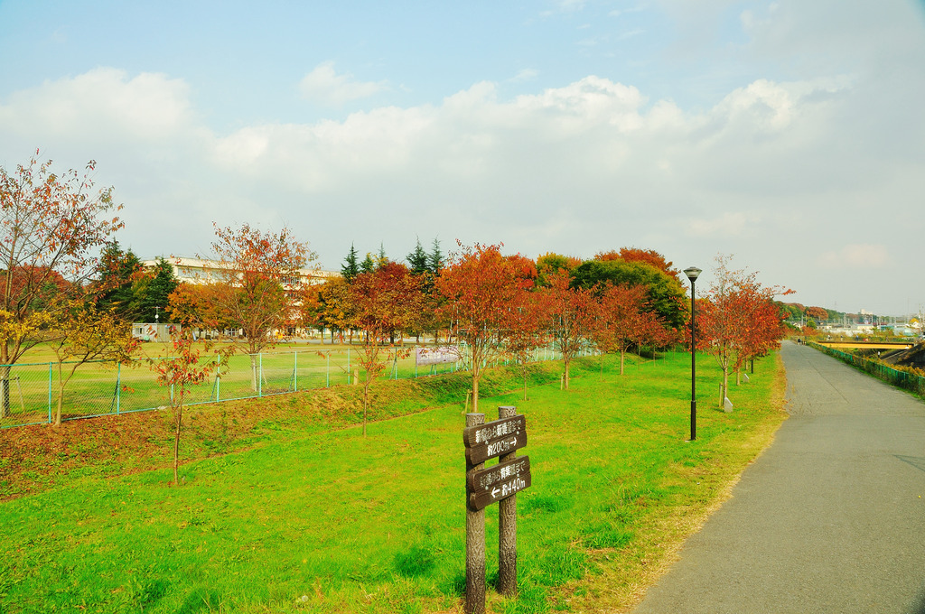 散歩道