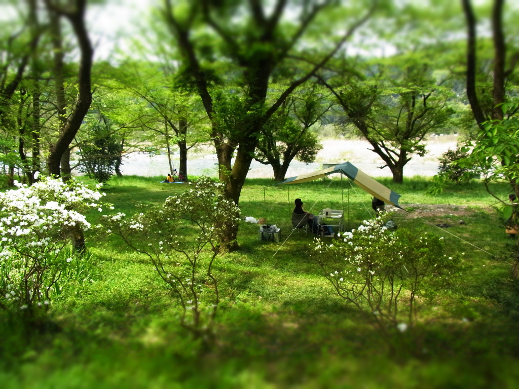 木陰で・・・