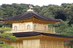 金