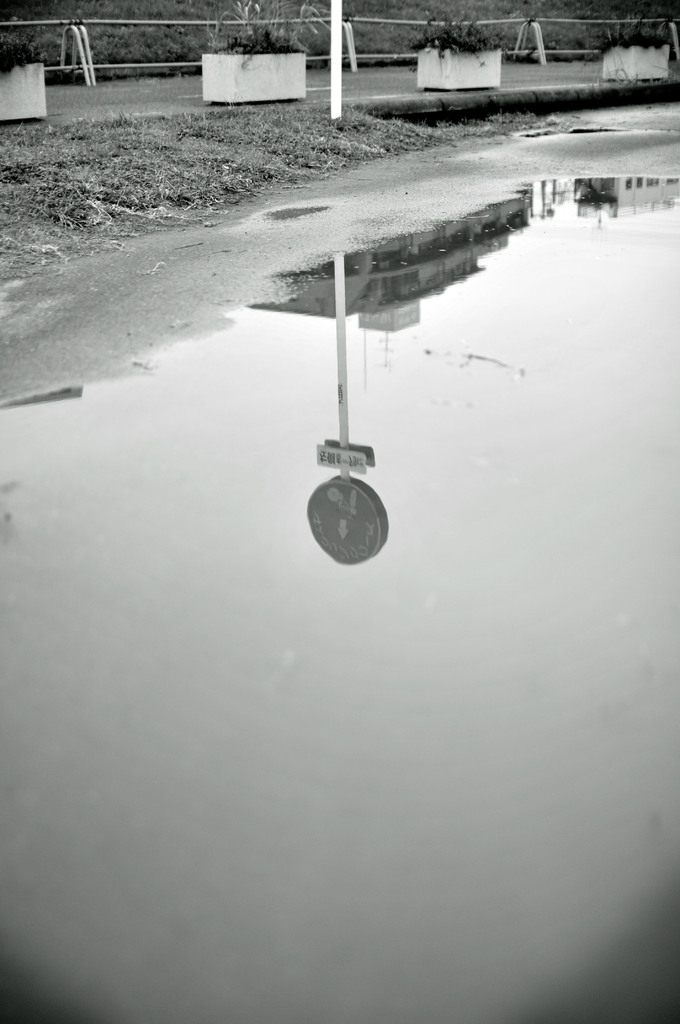 雨上がり