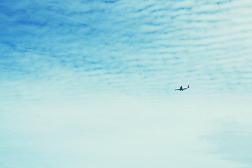 高い空にただひとつ