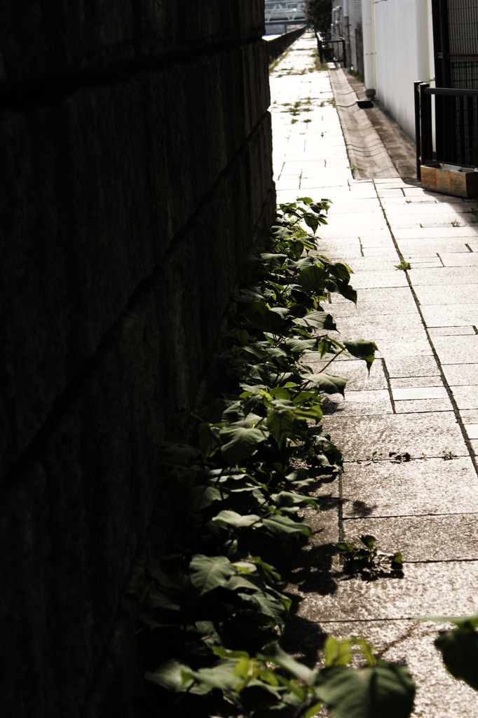 どこまでもつづく・・