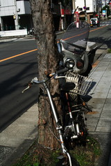 昭和のかおり