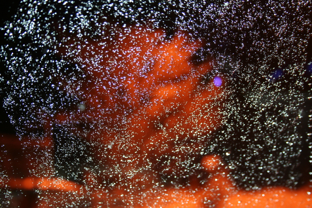 雪の幻