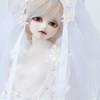 doll05