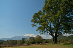 御嶽山