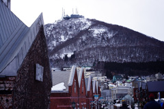 Hakodate Bay Snaps #8