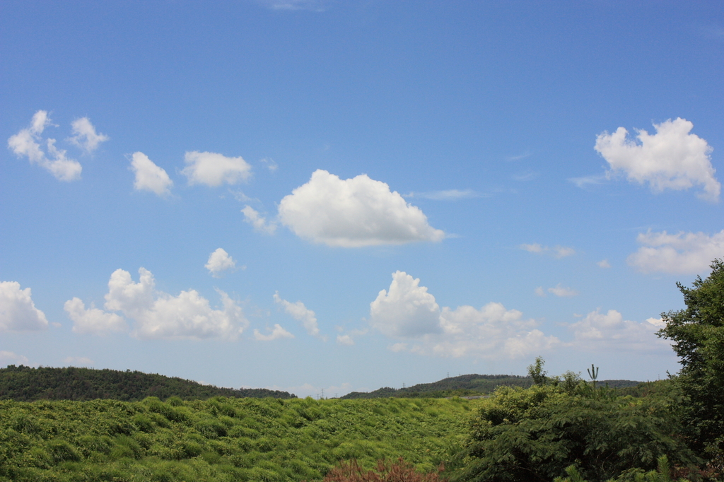 ウ●ンドウズな風景