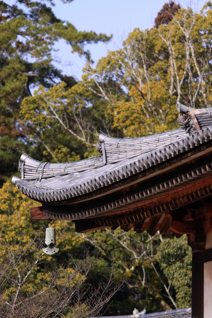 屋根