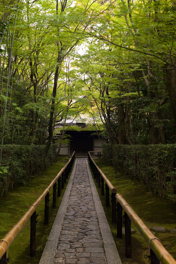 高桐院