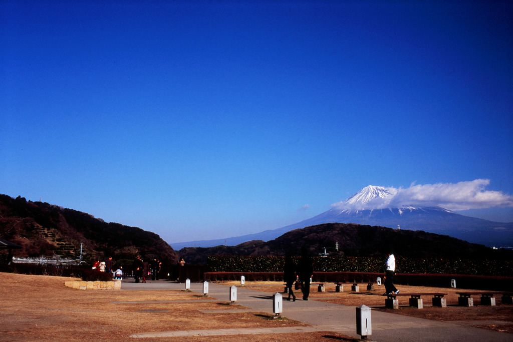 富士川SAより