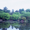 池