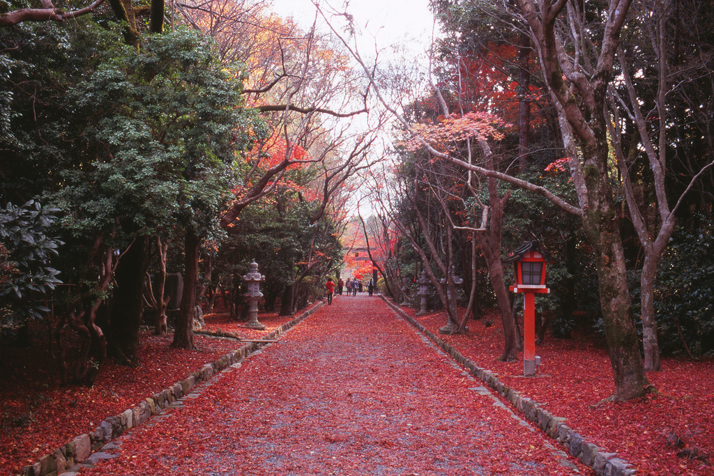 大原野神社　参道