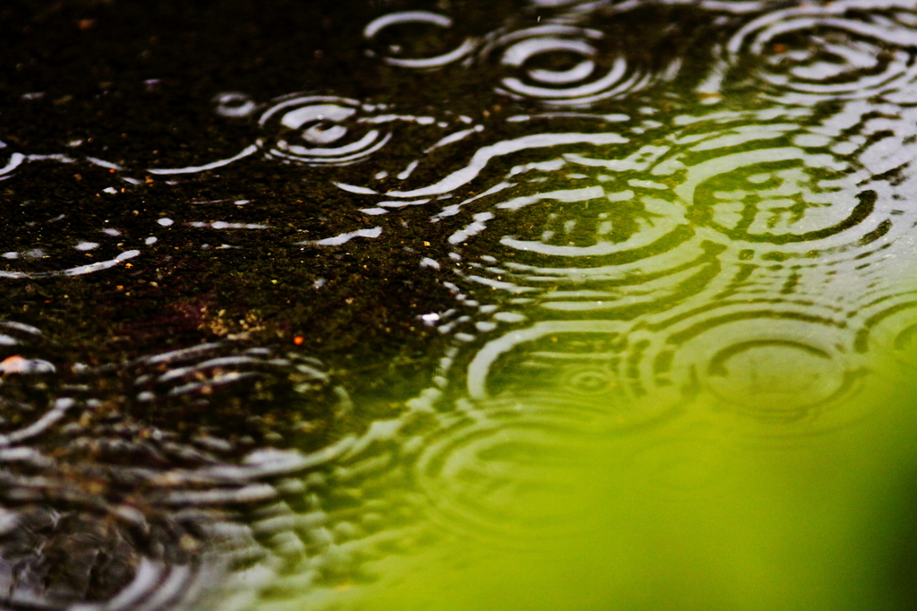 雨々