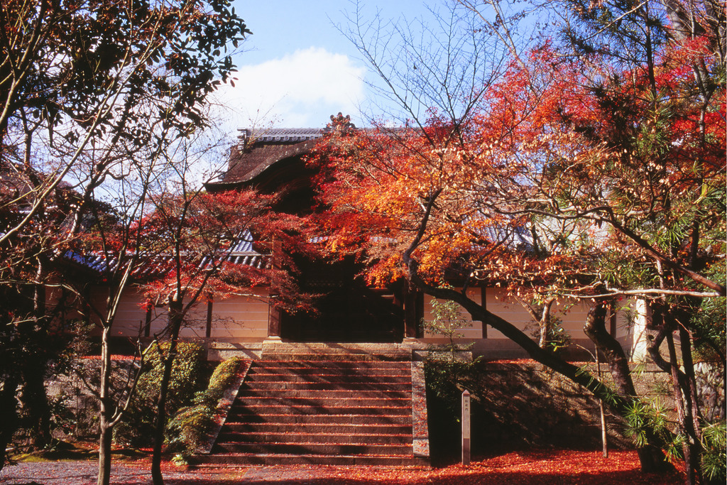 光明寺 勅使門