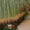 嵯峨野