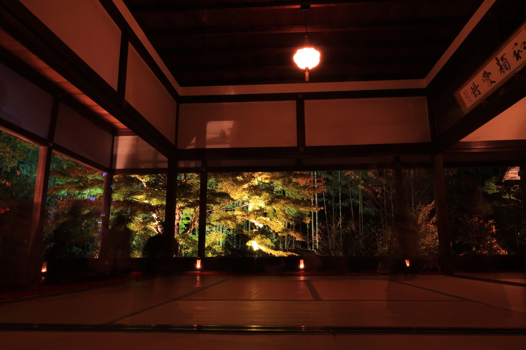 宝泉院