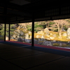 圓徳院 北庭