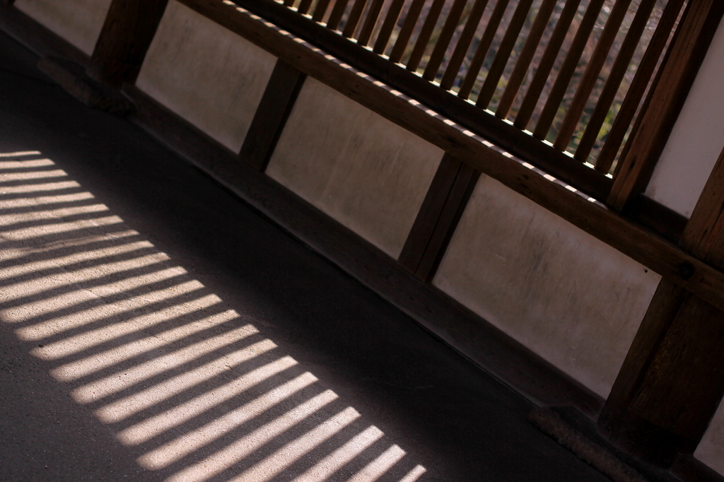 light & shadow