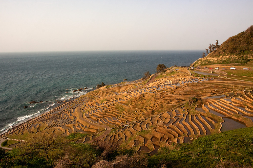 白米千枚田