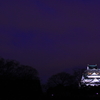 浮かび上がる大阪城