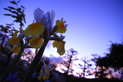 夕方、雨上がり。