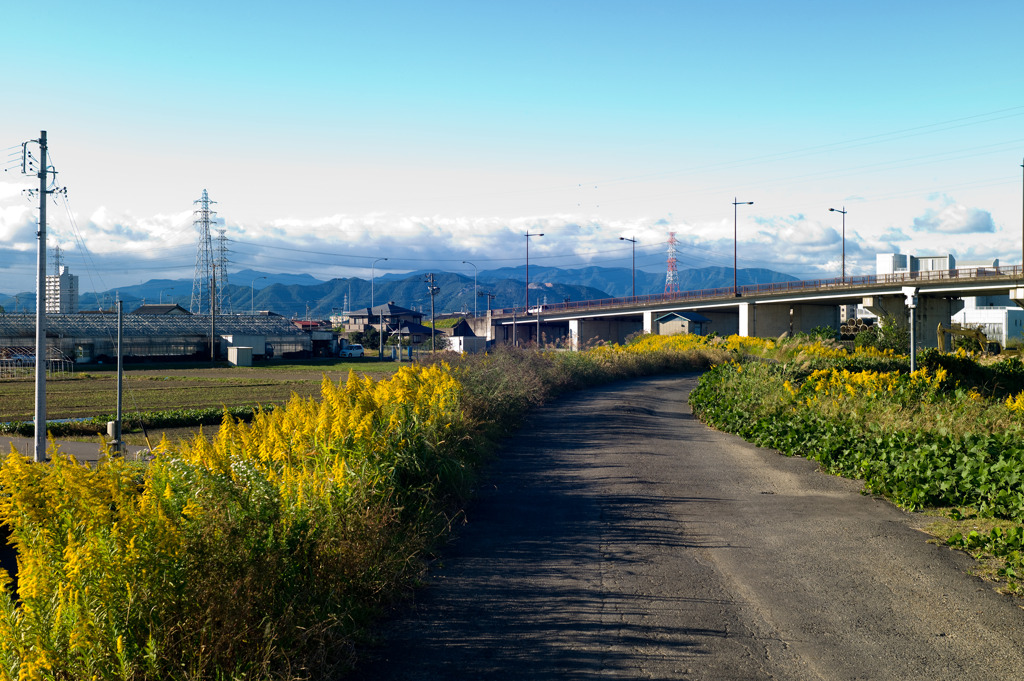 秋道