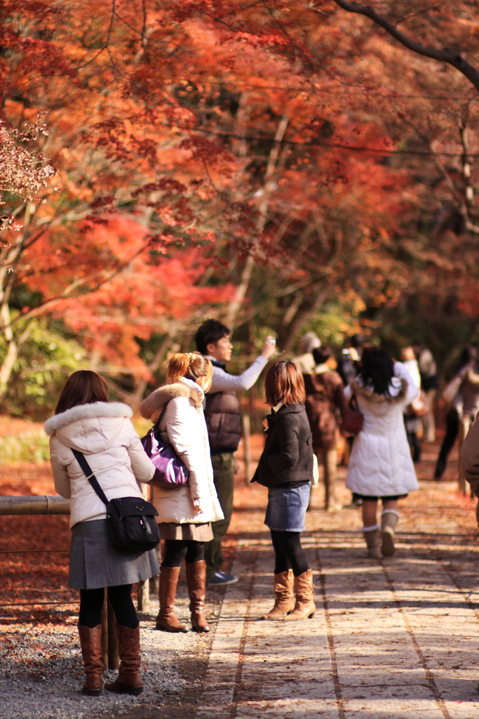 autumn