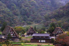 五箇山合掌造り 菅沼集落