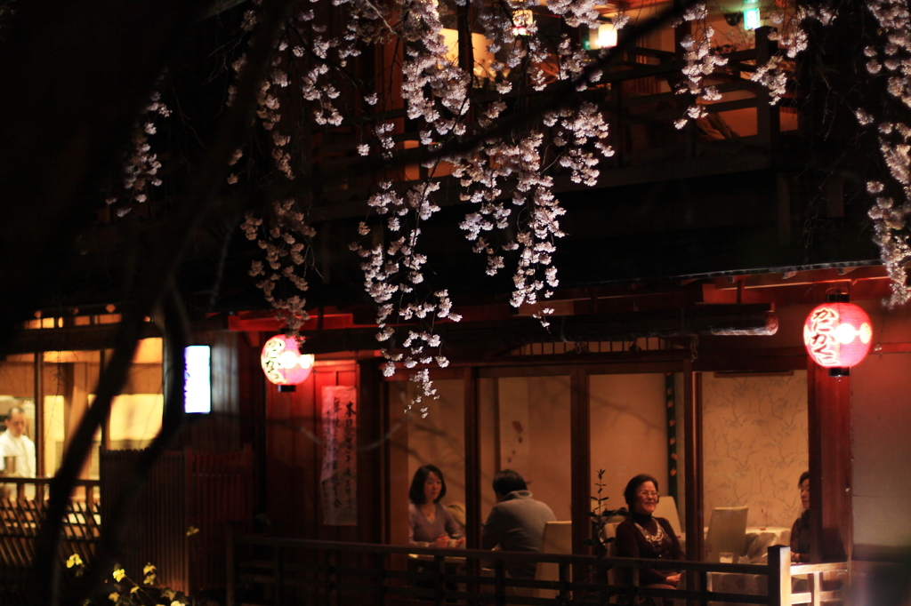 祇園白川夜桜座敷