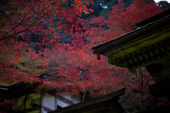 横蔵寺