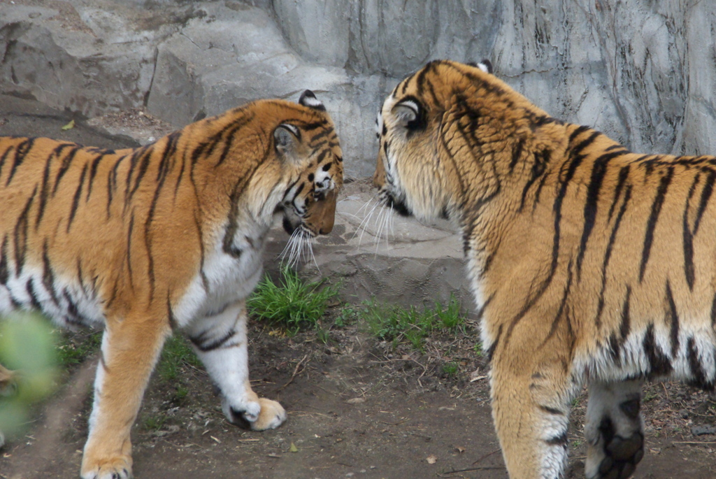 2010年　新年の挨拶