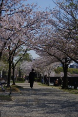 戦士の花道