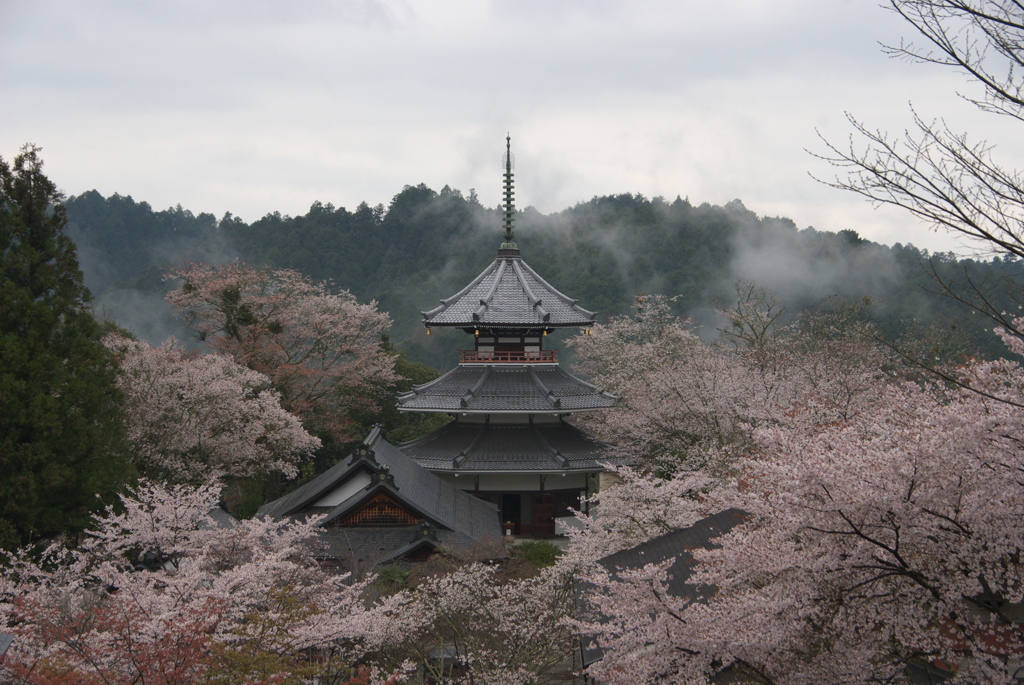 静粛の時間