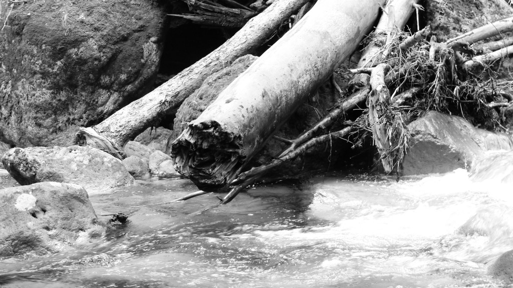 長野県：三本滝にて