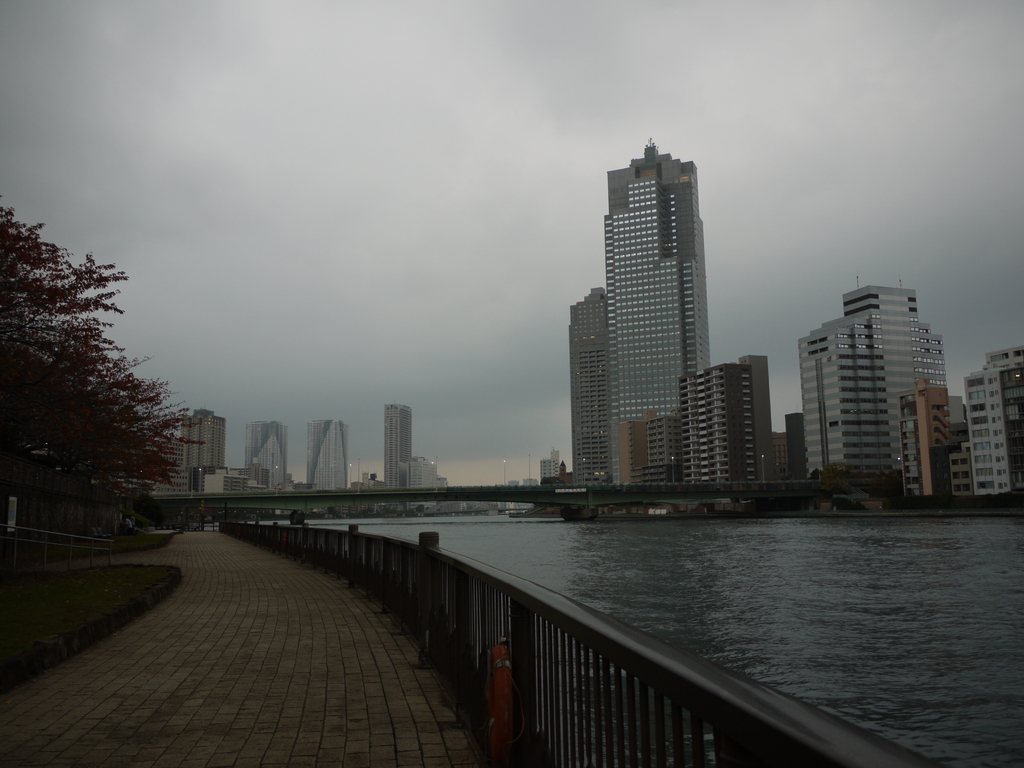 リバーシティー