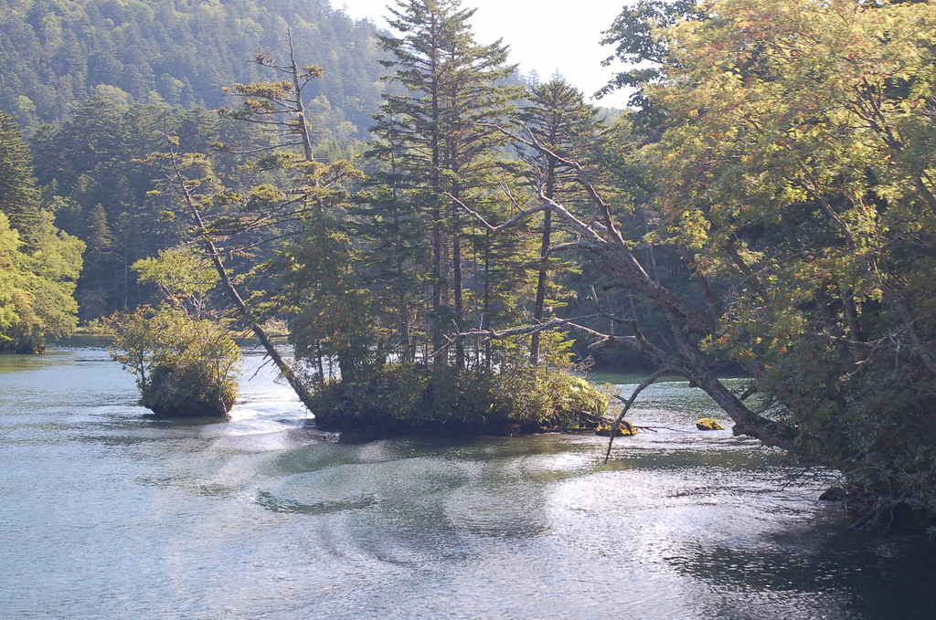 阿寒湖遊覧