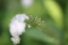 0907sp-0015