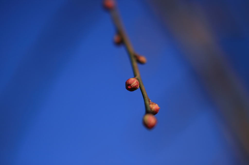 100124-0078