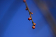 100124-0078