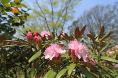 20100504-0026