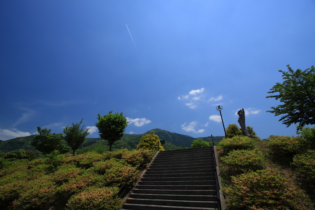 20100516-0100