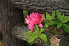 20100502-0061